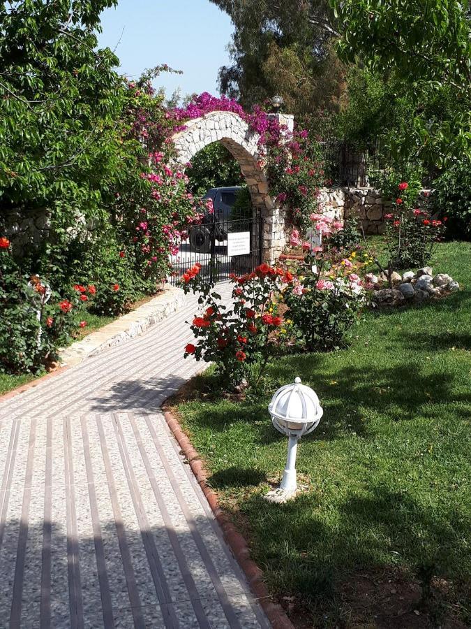 Olympos Hotel - Adults Only Ovacık 部屋 写真
